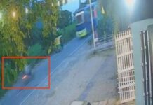 Accident in Haldwani: ओवर स्पीडिंग फिर बनी काल! टक्कर के बाद बस को चीरते हुए अंदर घुसा स्कूटी सवार, वीडियो में देखें खौफनाक हादसा ACCIDENT