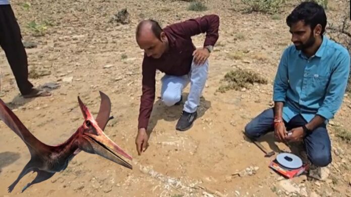 Copy of Copy of Untitled (23)