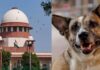 आवारा कुत्तों के मामले में SC ने सुरक्षित रखा फैसला, स्थानीय अधिकारियों को लगाई फटकार आवारा कुत्तों के मामले में SC ने सुरक्षित रखा फैसला