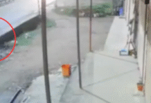 मनाली-चंडीगढ़ हाइवे पर चलती ट्रक से दर्दनाक मंजर आया सामने, Video देख कांप जाएगी रूह Woman Thrown Out Of Truck