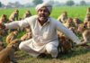 बिहार में 20 से ज्यादा बंदरों ने किसान पर किया हमला, नोंच-नोंचकर ले ली जान Bihar 20 Monkey Attacked Farmer