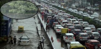Gurugram Weather: भारी बारिश से हाल बेहाल, जलभराव और जाम से लोग परेशान, स्कूल और ऑफिसों के लिए जारी हुए ये निर्देश