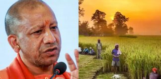 योगी सरकार का किसानों को दिवाली गिफ्ट, धान और मोटे अनाज की MSP में की बढ़ोतरी Yogi Adityanath