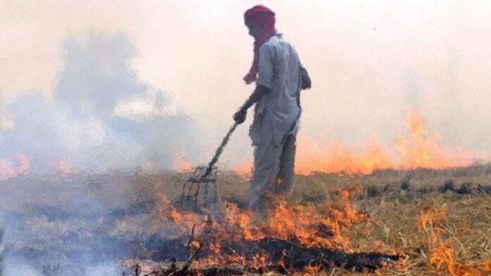 Haryana Parali Case