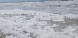 चेन्नई में समुद्र बना झाग का सफेद समंदर, बारिश के बाद उठा जहरीला फोम, विशेषज्ञों ने दी खतरे की चेतावनी CHENNAI