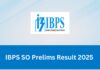 IBPS SO Result 2025: IBPS ने जारी किया स्पेशलिस्ट ऑफिसर प्रीलिम्स रिजल्ट, ऐसे देखें अपना स्कोर कार्ड IBPS SO Result 2025