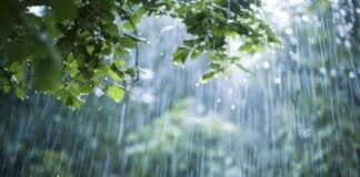 दक्षिण भारत में बारिश की दस्तक, उत्तर में बढ़ी ठंडक, IMD ने केरल-तमिलनाडु में अगले 7 दिन भारी बारिश के जताए आसार rain