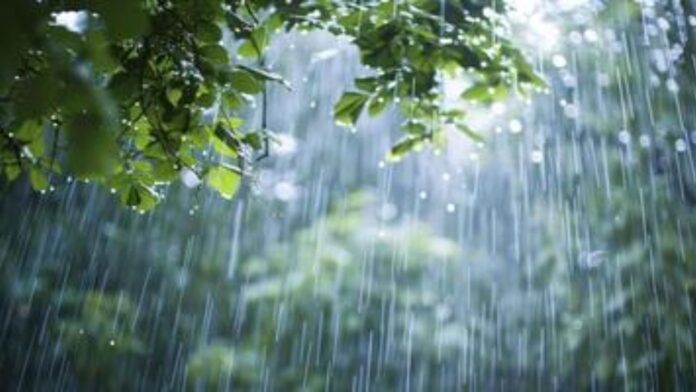 rain