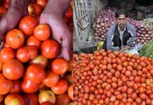 अफगानिस्तान से पंगा लेना पड़ा भारी, पाक में 700 रुपए किलो हुआ टमाटर