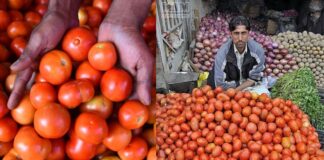 अफगानिस्तान से पंगा लेना पड़ा भारी, पाक में 700 रुपए किलो हुआ टमाटर