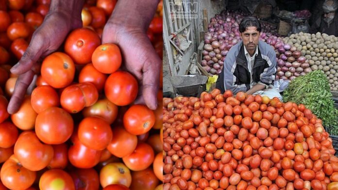 Tomato