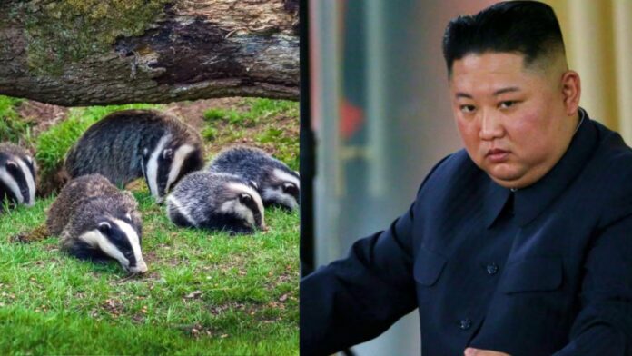 kim