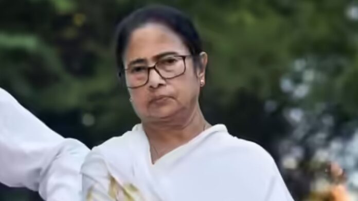 mamta