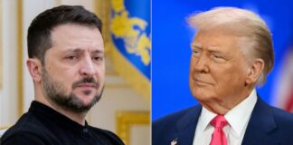 ‘एक युद्ध रुक सकता है तो दूसरा क्यों नहीं’, हमास-इजराइल सीजफायर को लेकर जेलेंस्की ने ट्रंप से की ये अपील TRUMP