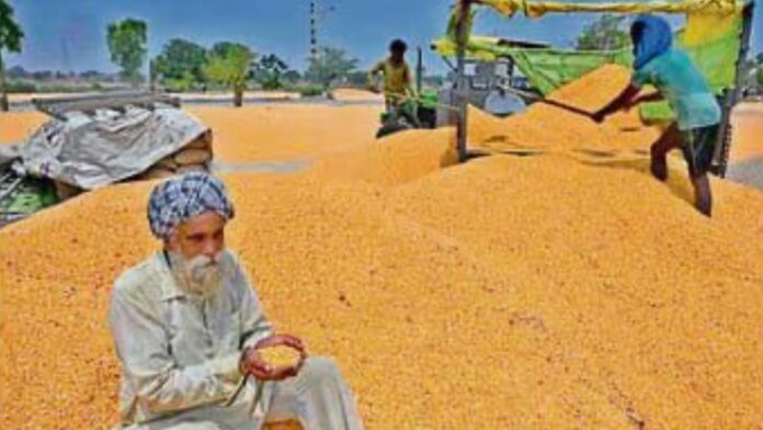 Untitled design (72) punjab