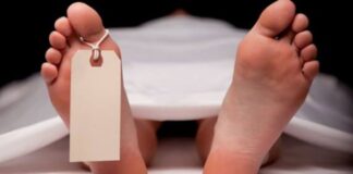 करवा चौथ की रात सड़क हादसे में हुई पति की मौत, दोस्त के बर्थडे से लौट रहा था शख्स Karwa Chauth 2025 Road Accident