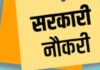 DSSSB ने निकाली बंपर वैकेंसी, तुरंत करें अप्लाई; जानें योग्यता और सैलरी Delhi Sarkari Teacher Bharti