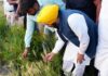 मान सरकार की ऐतिहासिक उपलब्धि, 11 लाख से अधिक किसानों को मिला MSP का लाभ Mann-Government-Punjab