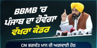 BBMB में 3000+ सरकारी नौकरियां अब सिर्फ पंजाब के लिए, मान सरकार का बड़ा फैसला Mann Government Punjab