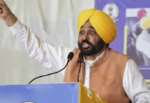 मान सरकार ने खत्म किया पिछली सरकारों का ‘माफिया राज’! खुले रोजगार और तरक्की के रास्ते Punjab CM Bhagwant Mann