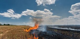 केंद्र सरकार ने की मान सरकार की सराहना, पराली जलाने के मामलों में 85% की रिकॉर्ड गिरावट stubble burning Punjab