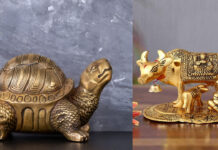 वास्तु टिप्स: 2026 में धन-दौलत चाहते हो? 2025 खत्म होने से पहले घर लाओ ये 4 जादुई चीजें, गरीब भी बन जाएगा अमीर!