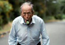 हवा से मुंह में गया पत्ता सड़क पर थूका, तो 86 साल के बुजुर्ग को लगा 26 हजार का फटका Viral