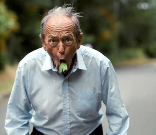 हवा से मुंह में गया पत्ता सड़क पर थूका, तो 86 साल के बुजुर्ग को लगा 26 हजार का फटका Viral