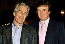 एपस्टीन फाइल्स में डोनाल्ड ट्रंप का ‘नोबेल प्रेम’, शक के दायरे में नोबेल समिति Donald Trump