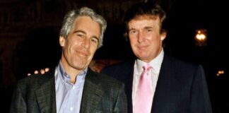 एपस्टीन फाइल्स में डोनाल्ड ट्रंप का ‘नोबेल प्रेम’, शक के दायरे में नोबेल समिति Donald Trump