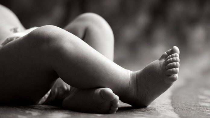 Mother Killed Son Mother Killed Son