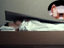 दिल्ली के सरिता विहार में डबल मर्डर से दहशत का माहौल, बेड के बॉक्स में मिली मां-बेटी की लाश; आरोपी फरार