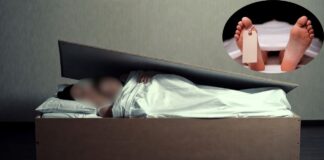 दिल्ली के सरिता विहार में डबल मर्डर से दहशत का माहौल, बेड के बॉक्स में मिली मां-बेटी की लाश; आरोपी फरार