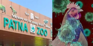 बिहार में बर्ड फ्लू की वजह से अलर्ट जारी, मारी गईं 4575 मुर्गियां; पटना जू 7 मार्च तक बंद