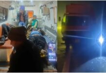 तड़के यमुना एक्सप्रेसवे पर मौत का तांडव, बस से उतरे यात्रियों को तेज रफ्तार कंटेनर ने कुचला, एक साथ 6 लोगों की मौत Yamuna Expressway Accident