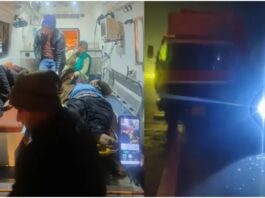 तड़के यमुना एक्सप्रेसवे पर मौत का तांडव, बस से उतरे यात्रियों को तेज रफ्तार कंटेनर ने कुचला, एक साथ 6 लोगों की मौत Yamuna Expressway Accident