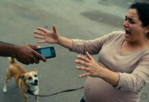 रायपुर में डॉग रेस्क्यू के नाम पर गुंडागर्दी, गर्भवती महिला से मारपीट का आरोप; मोबाइल और कुत्ता भी छीना