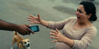 रायपुर में डॉग रेस्क्यू के नाम पर गुंडागर्दी, गर्भवती महिला से मारपीट का आरोप; मोबाइल और कुत्ता भी छीना