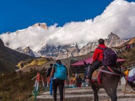 चारधाम यात्रा में बड़ी राहत, इस साल नहीं होगा कोई कैपिंग; हर श्रद्धालु कर सकेगा दर्शन