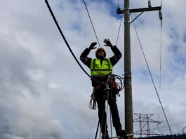 रिपेयरिंग के दौरान ही अचानक चालू हुई बिजली से पोल पर काम कर रहे लाइनमैन की दर्दनाक मौत