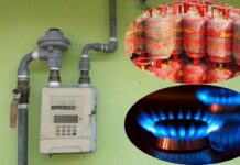 6000 लोगों ने छोड़ा अपना LPG कनेक्शन, PNG को बढ़ावा देने के लिए लागू हुए नए नियम; सरकार ने दिया 3 महीने का अल्टीमेटम
