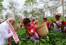 पीएम मोदी ने चाय के बागान में महिलाओं से की बातचीत, क्या है असम दौरे का पूरा शेड्यूल PM Modi Assam Visit