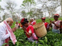 पीएम मोदी ने चाय के बागान में महिलाओं से की बातचीत, क्या है असम दौरे का पूरा शेड्यूल PM Modi Assam Visit