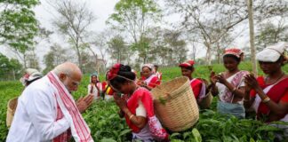पीएम मोदी ने चाय के बागान में महिलाओं से की बातचीत, क्या है असम दौरे का पूरा शेड्यूल PM Modi Assam Visit