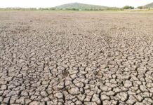 राजस्थान में भीषण गर्मी का प्रकोप, हीटवेव का ऑरेंज अलर्ट जारी Rajasthan Weather Alert