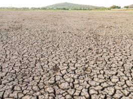 राजस्थान में भीषण गर्मी का प्रकोप, हीटवेव का ऑरेंज अलर्ट जारी Rajasthan Weather Alert