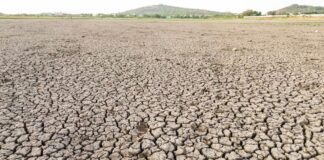 राजस्थान में भीषण गर्मी का प्रकोप, हीटवेव का ऑरेंज अलर्ट जारी Rajasthan Weather Alert