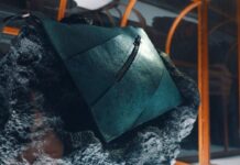 डायनासोर के चमड़े से तैयार हुआ है लग्जरी हैंडबैग, नीलामी के लिए तैयार; यहां जानिए इसकी खासियत T-Rex Leather Bag