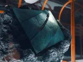 डायनासोर के चमड़े से तैयार हुआ है लग्जरी हैंडबैग, नीलामी के लिए तैयार; यहां जानिए इसकी खासियत T-Rex Leather Bag