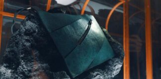 डायनासोर के चमड़े से तैयार हुआ है लग्जरी हैंडबैग, नीलामी के लिए तैयार; यहां जानिए इसकी खासियत T-Rex Leather Bag